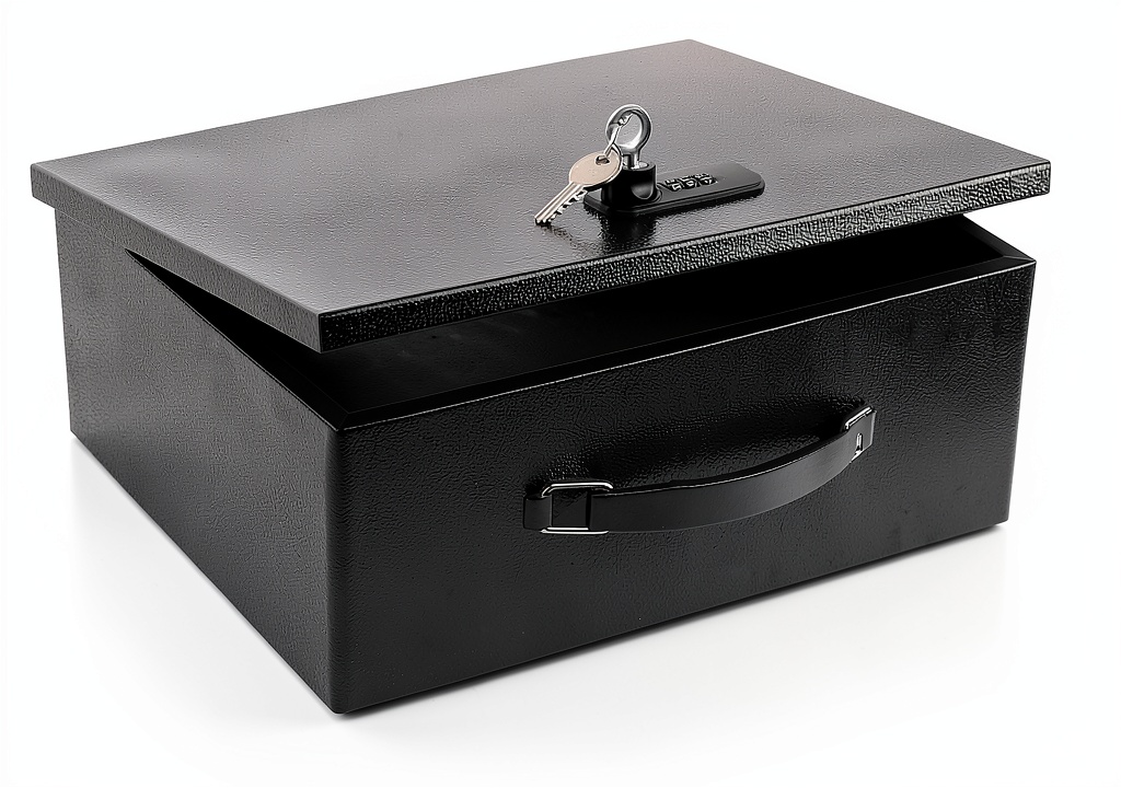 Dalmbox safe box showing interior space and lock mechanism
